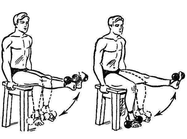 4 х главая мышца бедра упражнения. как накачать мышцы бедра? упражнения для квадрицепсов