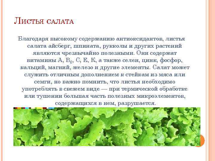 Салат какая почва. Листья салата. Салатный лист полезные. Витамины в салате листовом. Полезные свойства салата.