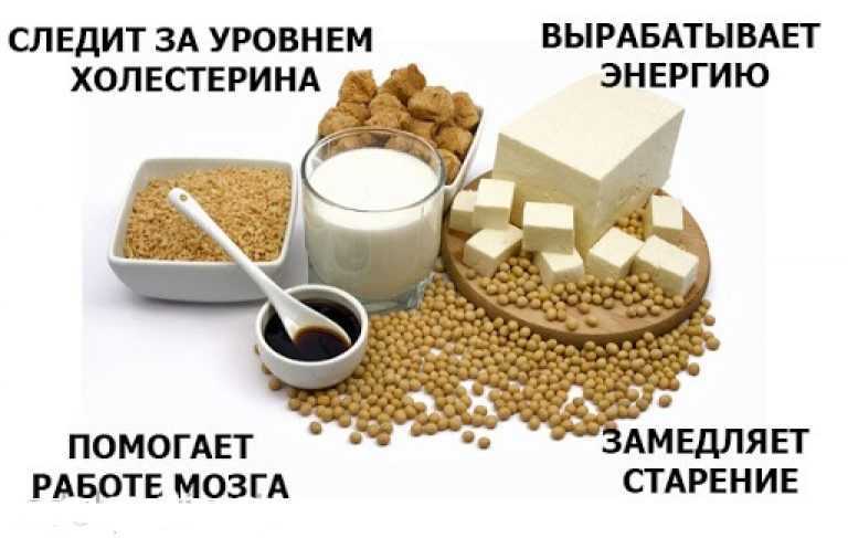 Соевые продукты: список, таблица, польза и вред для организма, калорийность