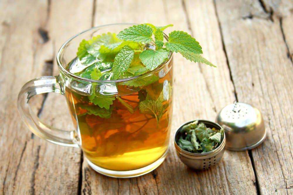 Облепиховый чай польза и вред для здоровья, исследования полезных свойств