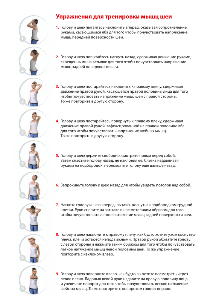 Как накачать шею- программа тренировок в тренажерном зале и дома