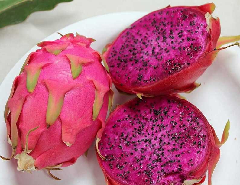 Питахайя (драконий фрукт) — что это, как едят, на что похож вкус, где растет, польза