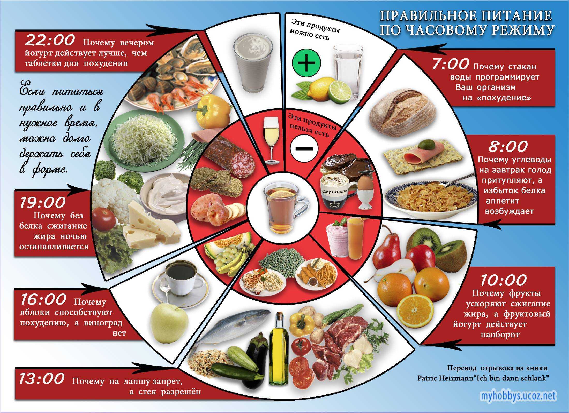Принципы пятифакторной диеты Харли Пастернака Какие продукты разрешены Длительность курса похудения Меню на каждый день План ежедневных тренировок Отзывы