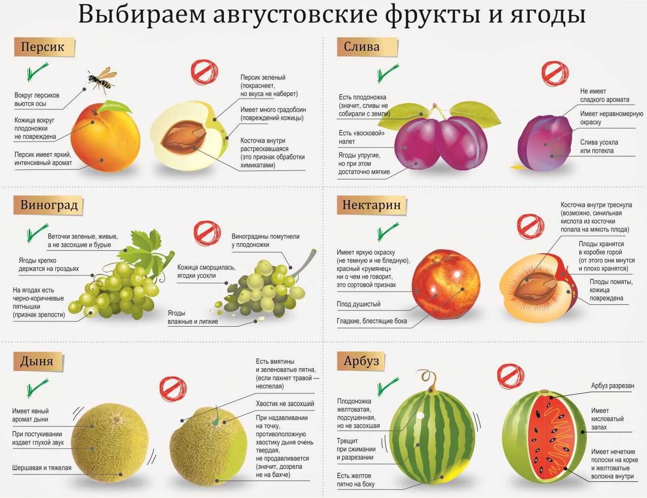 2 11 всех фруктов составляют персики сколько. Полезные фрукты и овощи. Таблица полезных овощей и фруктов. Сезонные фрукты и ягоды. Полезные витамины в овощах и фруктах.