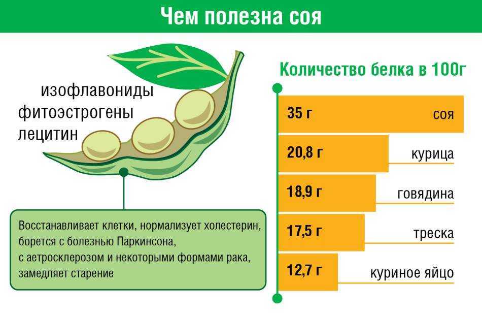 Суп мисо - ингредиенты и рецепты | как приготовить на webpudding.ru