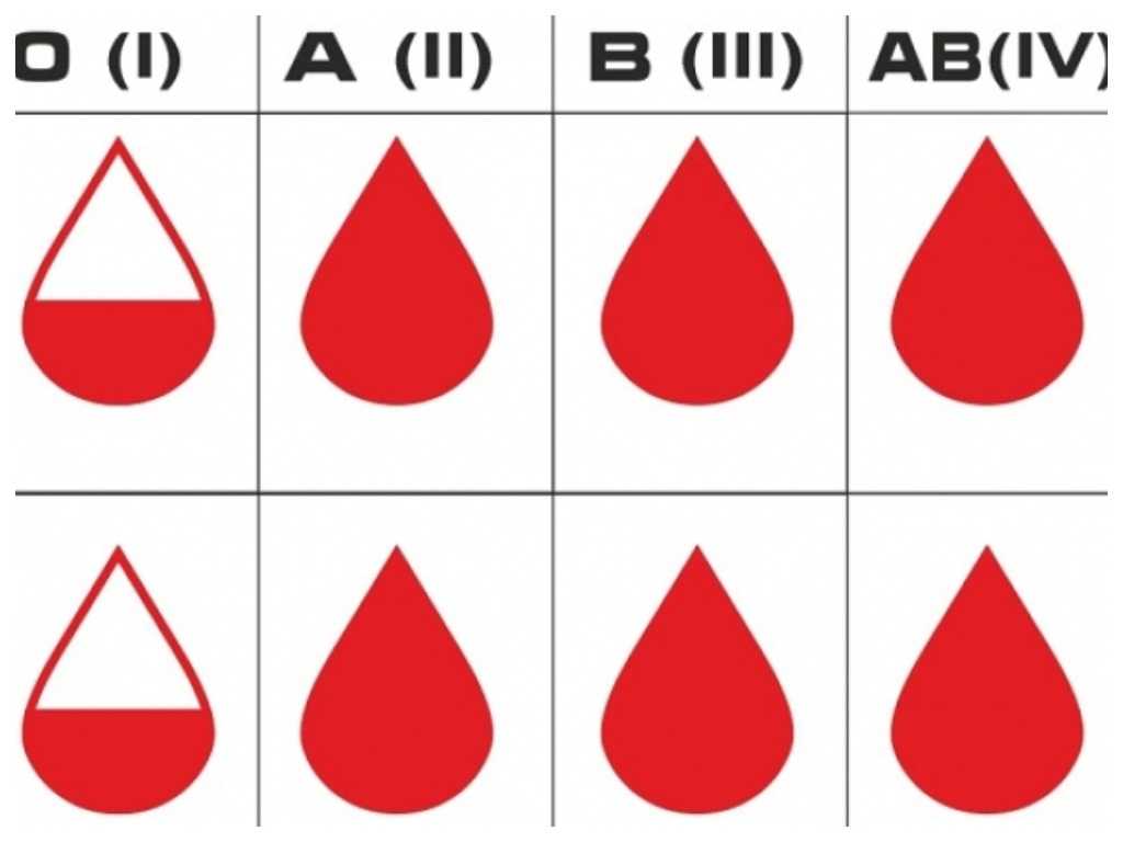 Группа крови т