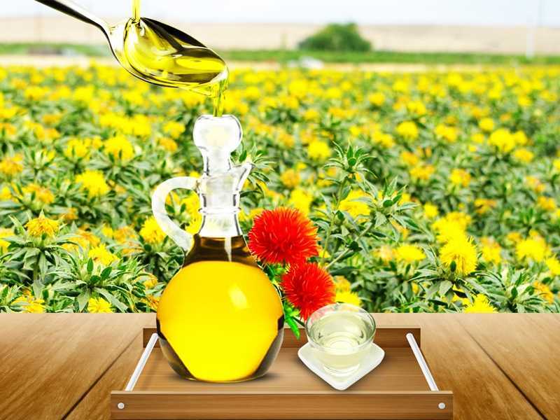 Сафлоровое масло – 9 полезных свойств и применение
