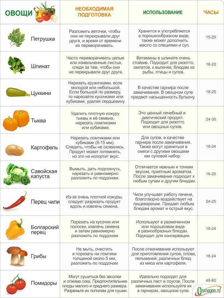 Гид по овощам: почему их нужно есть больше и как это сделать?