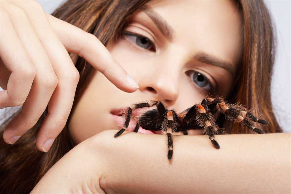 Инсектофобия или энтомофобия — боязнь перед насекомыми
