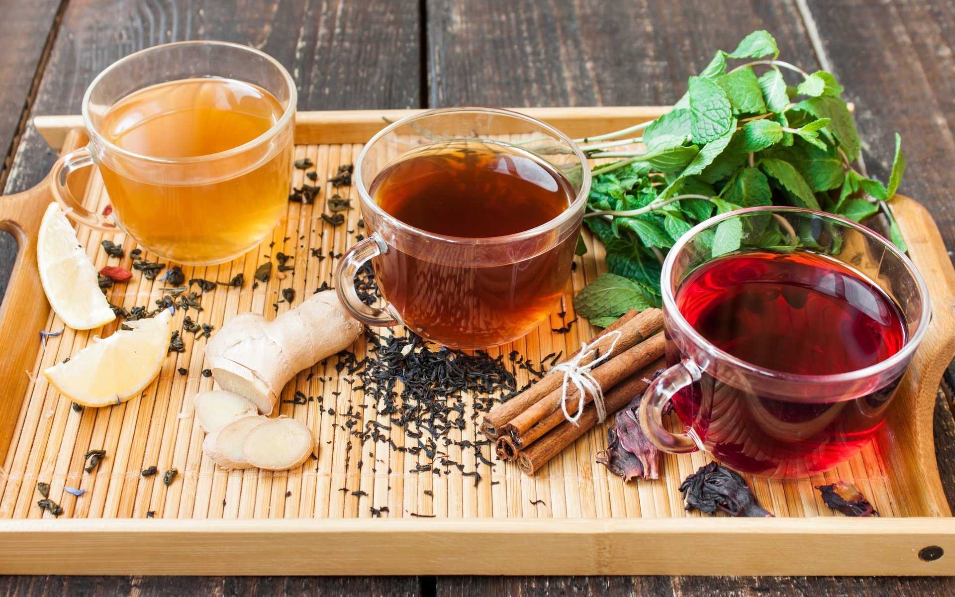 Чай с облепихой: 8 рецептов приготовления действительно полезного облепихового напитка из ягод и листьев