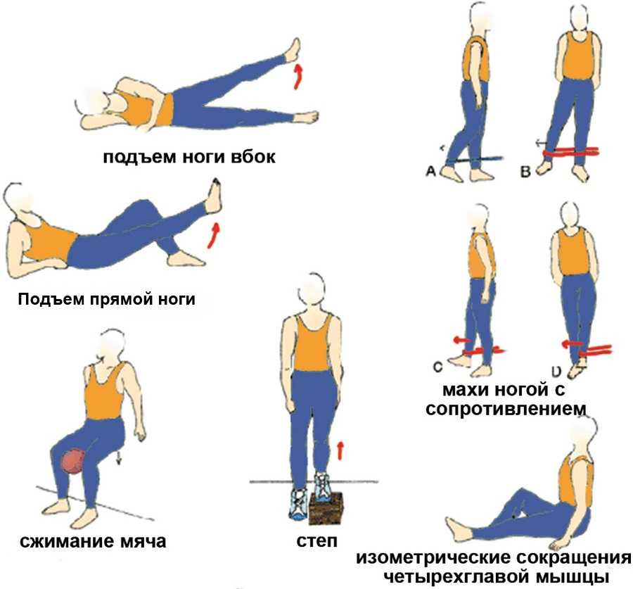 Квадрицепс: упражнения для прямой, латеральной, медиальной и промежуточной головок четырехглавой мышцы бедра