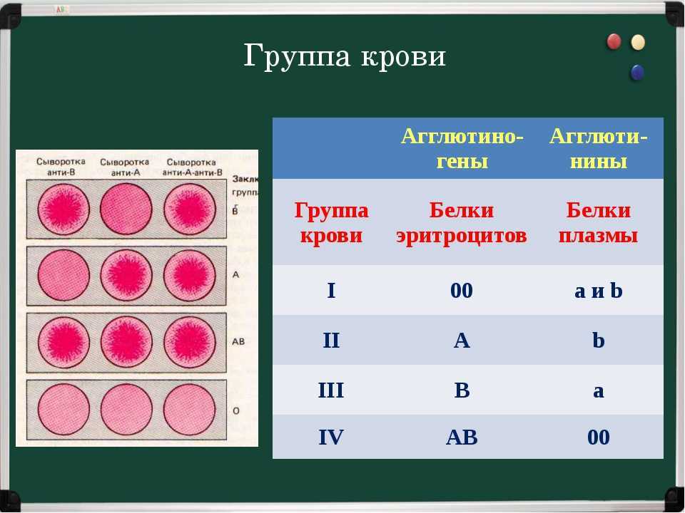 Группа крови 1 б